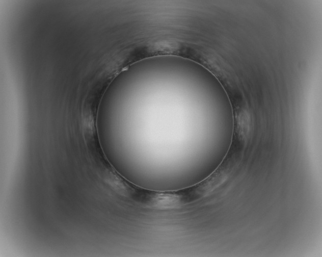 X0000110670617200906121311