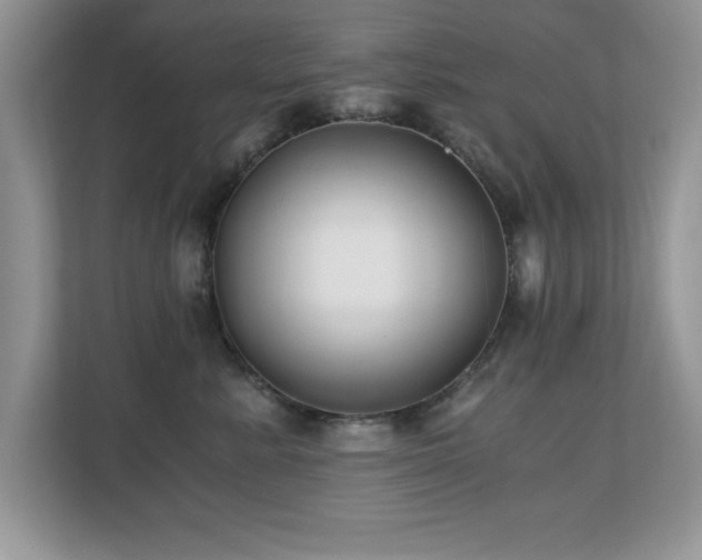 X0000110670619200906121311
