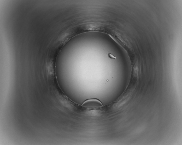 X0000110670620200906121311