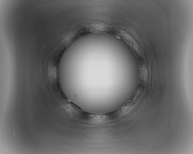X0000110670621200906121311