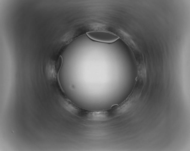 X0000110670622200906121311