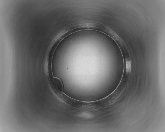 X0000110670627200906121310