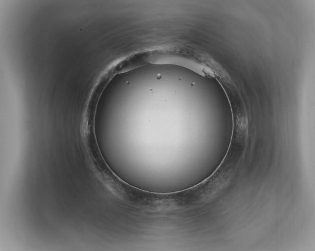 X0000110670628200906121310