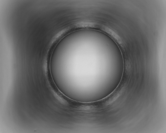 X0000110670629200906121310
