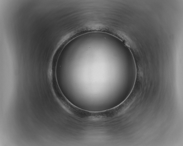 X0000110670630200906121310