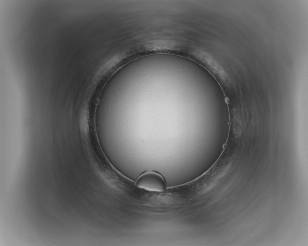 X0000110670631200906121310