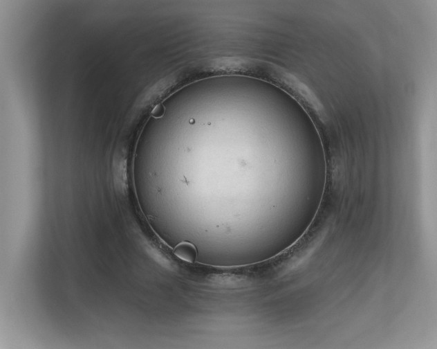 X0000110670633200906121310