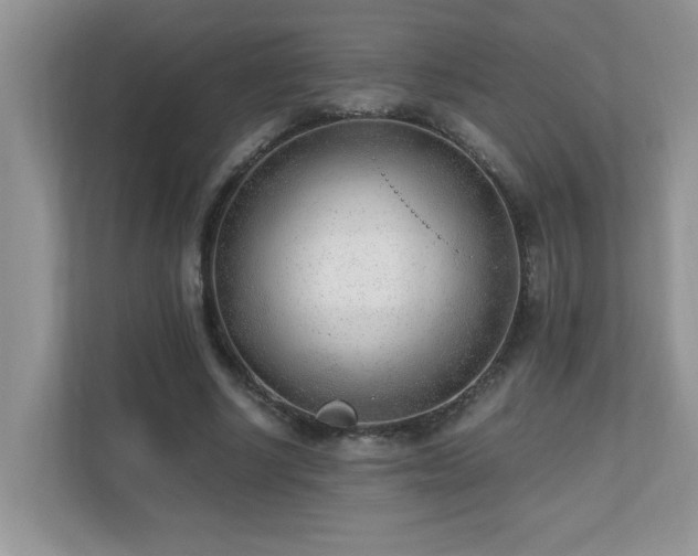 X0000110670634200906121310