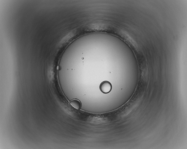 X0000110670635200906121310