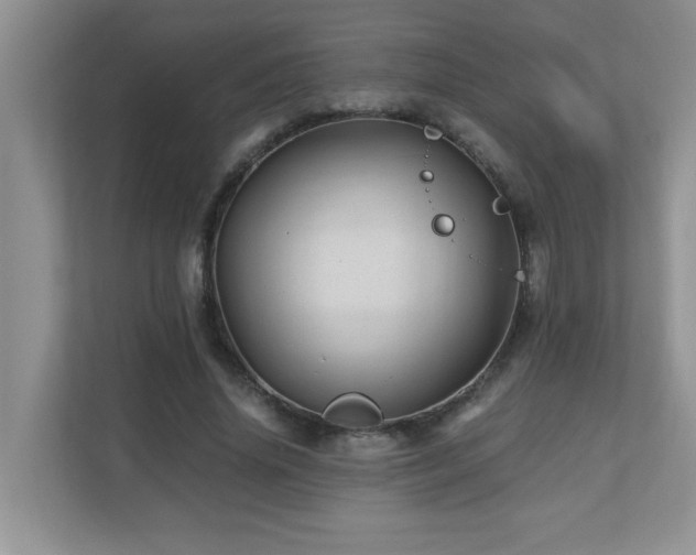 X0000110670636200906121310