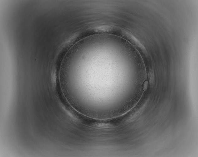 X0000110670637200906121310
