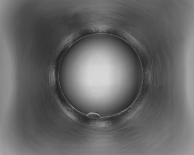 X0000110670638200906121310