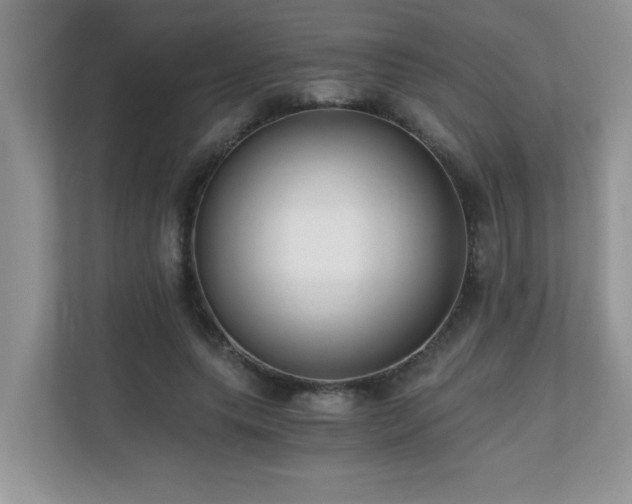 X0000110670639200906121310
