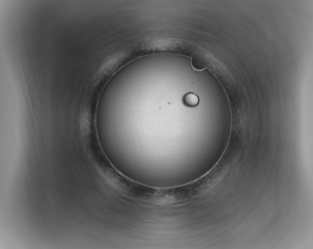 X0000110670640200906121310