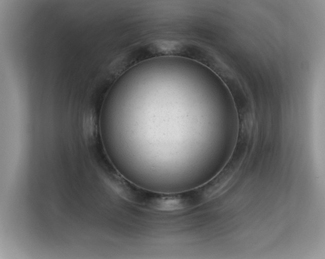 X0000110670651200906121311