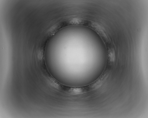X0000110670665200906121311