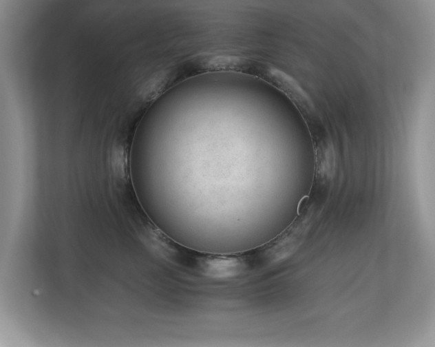 X0000110670669200906121311