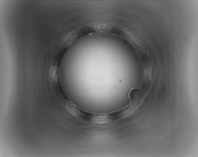 X0000110670671200906121311