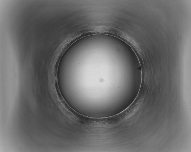X0000110670673200906121310