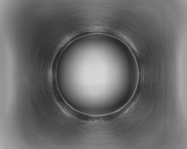 X0000110670674200906121310