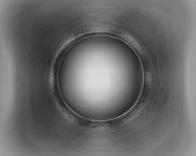 X0000110670676200906121310
