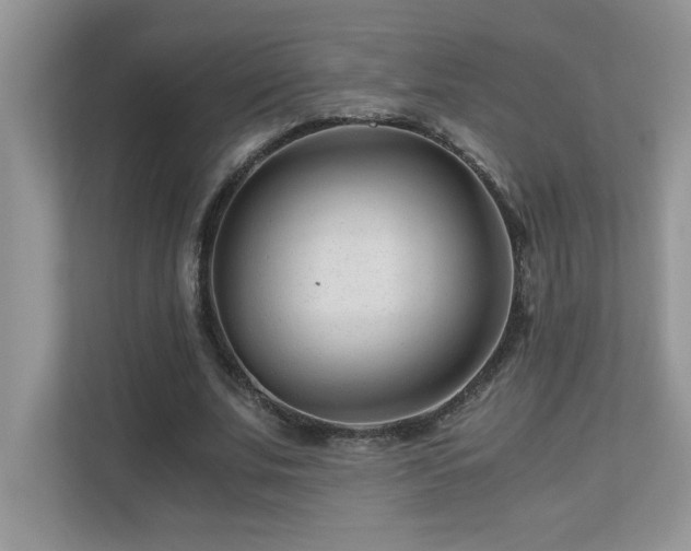 X0000110670679200906121310