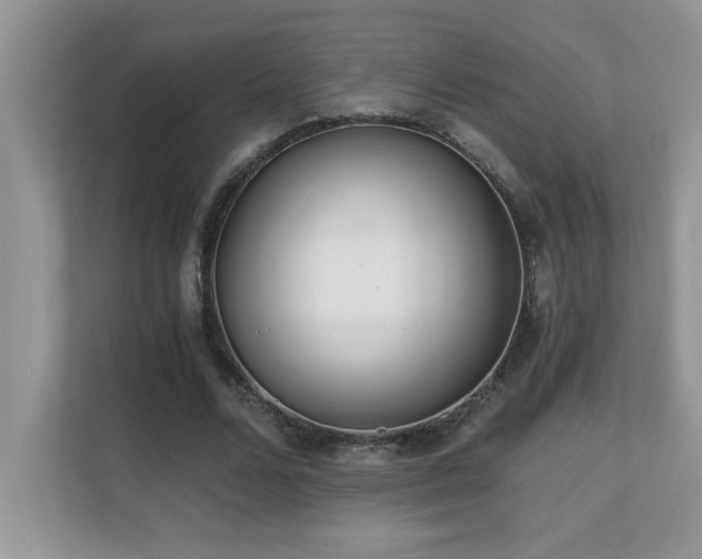 X0000110670680200906121310