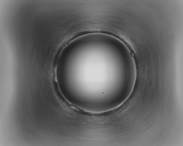 X0000110670681200906121310