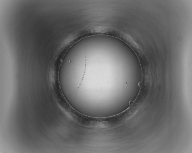 X0000110670683200906121310