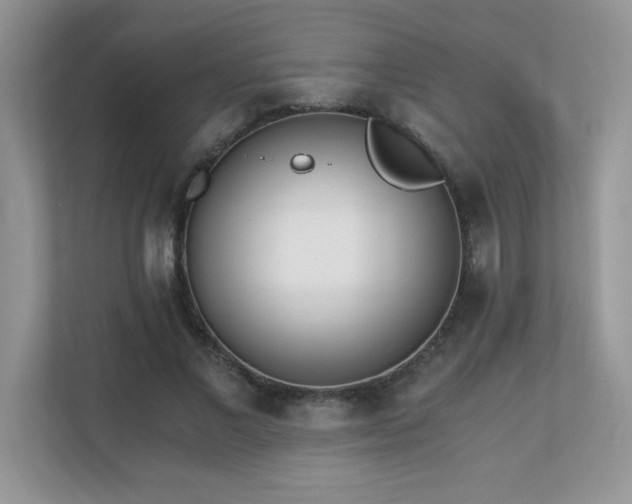 X0000110670685200906121310