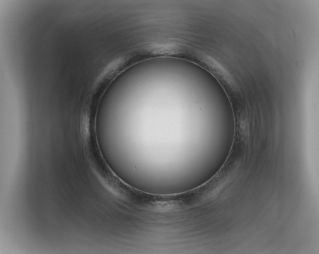 X0000110670686200906121310