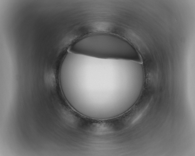 X0000110670688200906121310