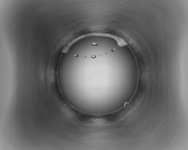 X0000110670689200906121310