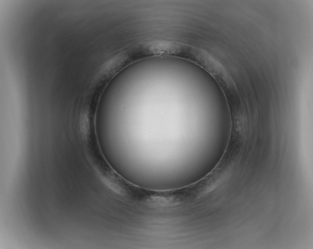 X0000110670690200906121310