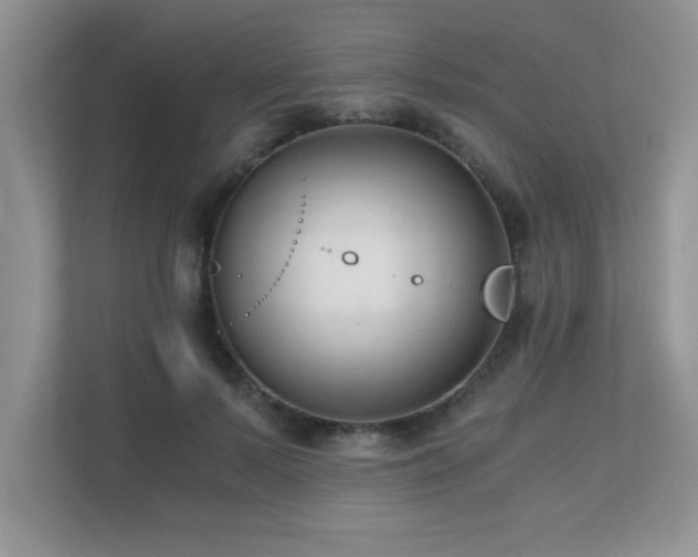 X0000110670695200906121310