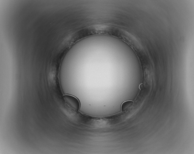 X0000110670698200906121310
