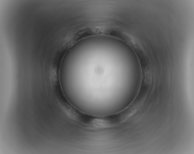 X0000110670699200906121310