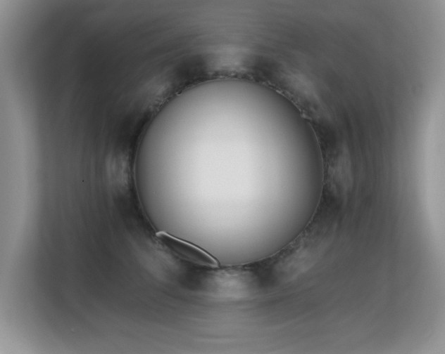 X0000110670708200906121310