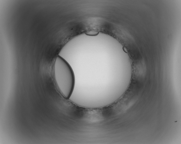 X0000110670709200906121310