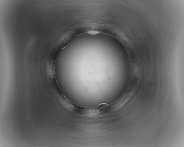 X0000110670719200906121310