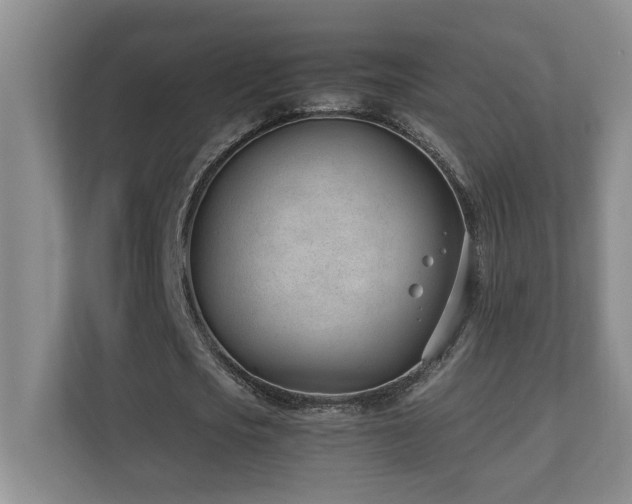X0000110670721200906121309