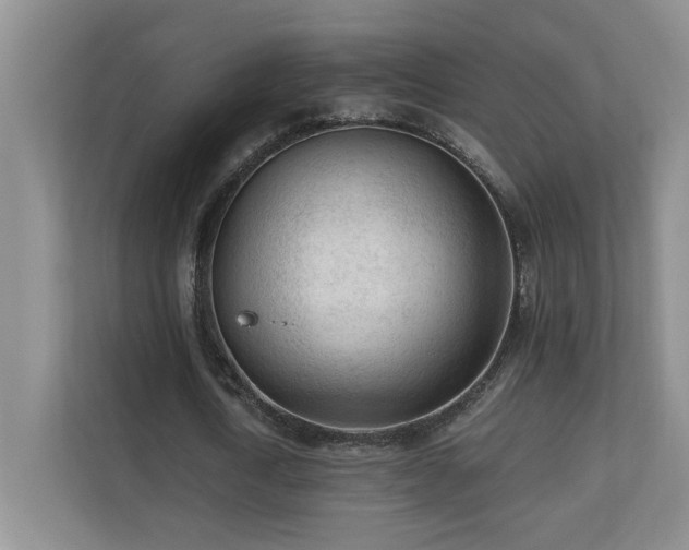 X0000110670722200906121309