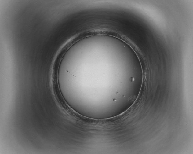 X0000110670724200906121309