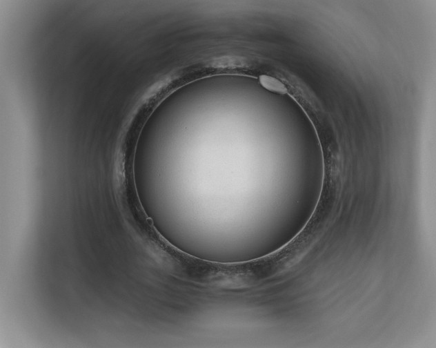 X0000110670727200906121309