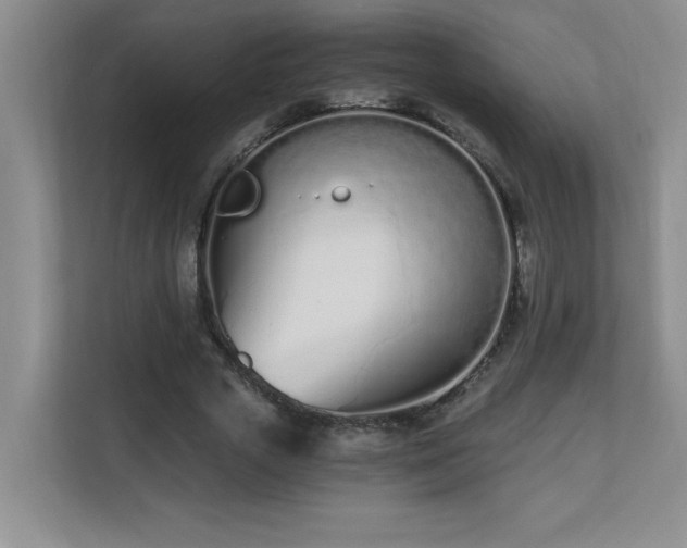 X0000110670729200906121309