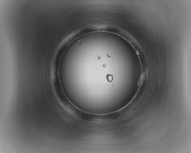 X0000110670732200906121309