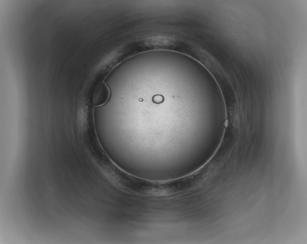 X0000110670735200906121309