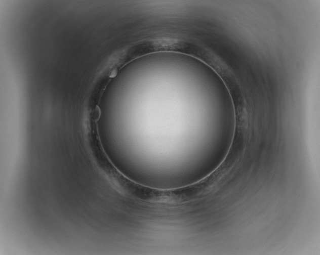X0000110670738200906121309