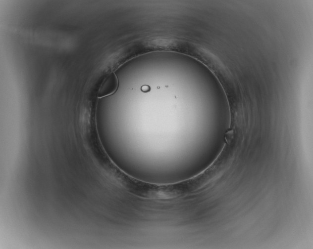 X0000110670739200906121309