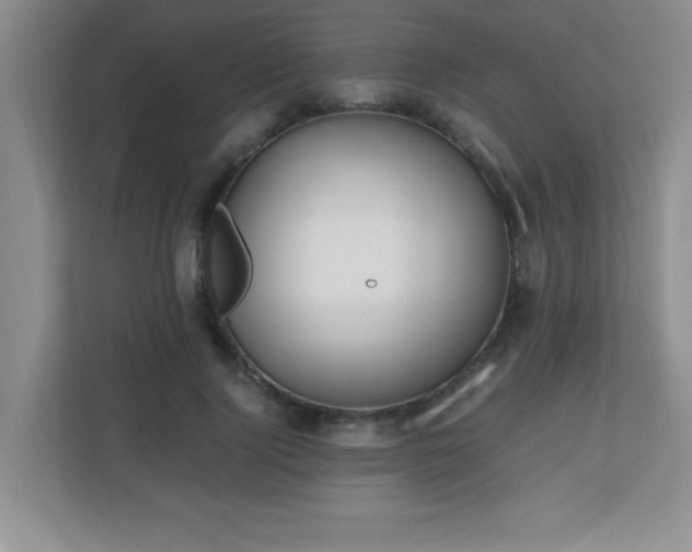 X0000110670740200906121309